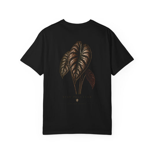 Alocasia Cuprea — Silhouette Specimen Collection Graphic Tee