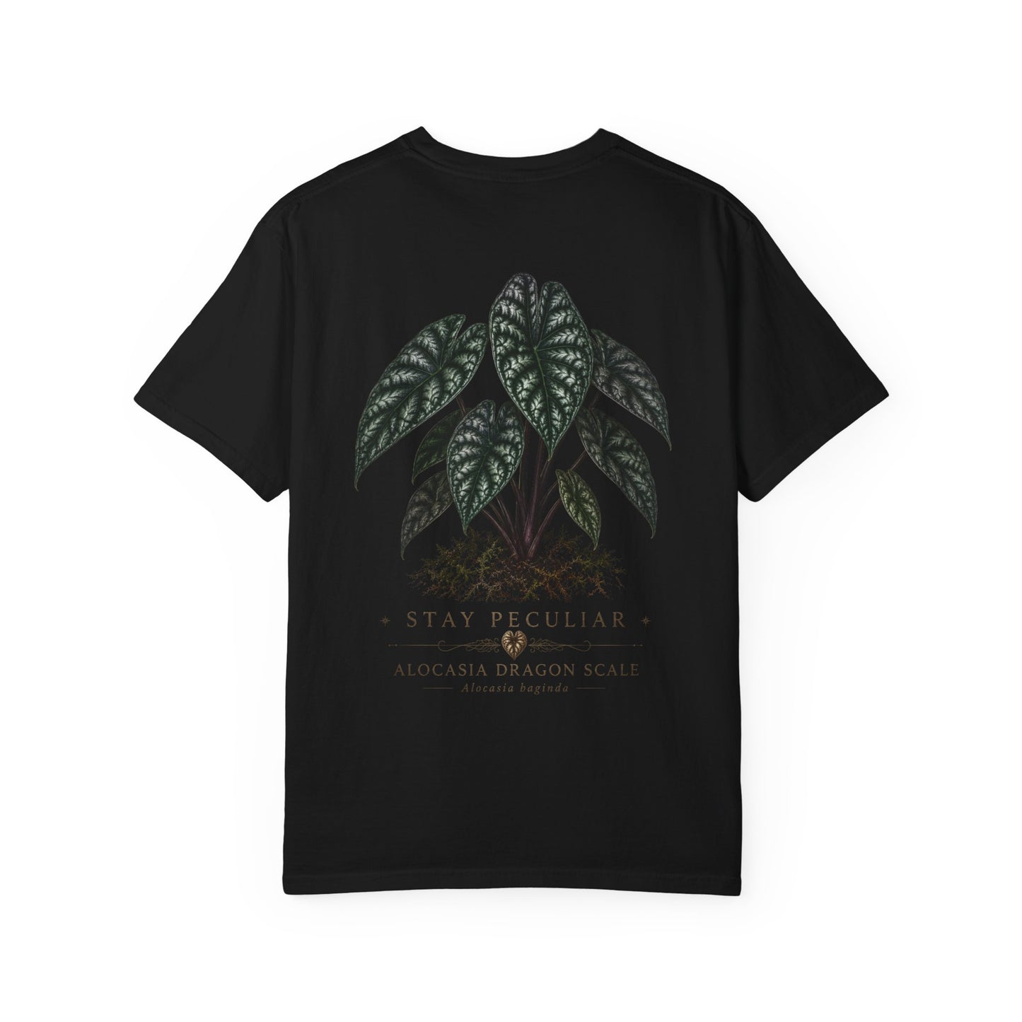 Alocasia Dragon Scale Tee —  Silhouette Specimen Collection Graphic Tee