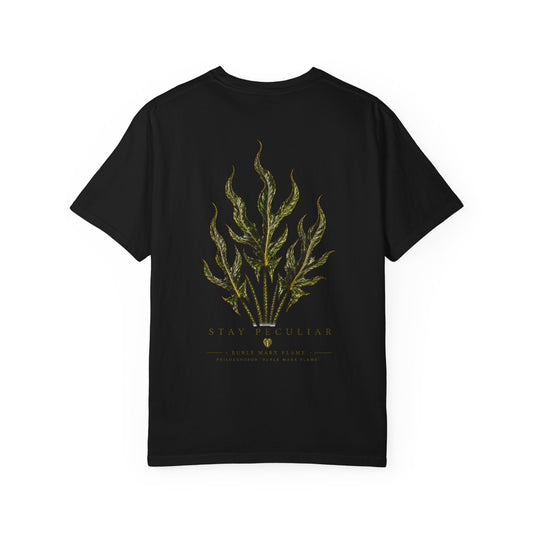 Burle Marx Flame — Silhouette Specimen Collection Graphic Tee