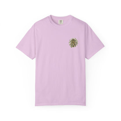 Curiosity Sets Things Free — The Insight Collection Graphic Tee