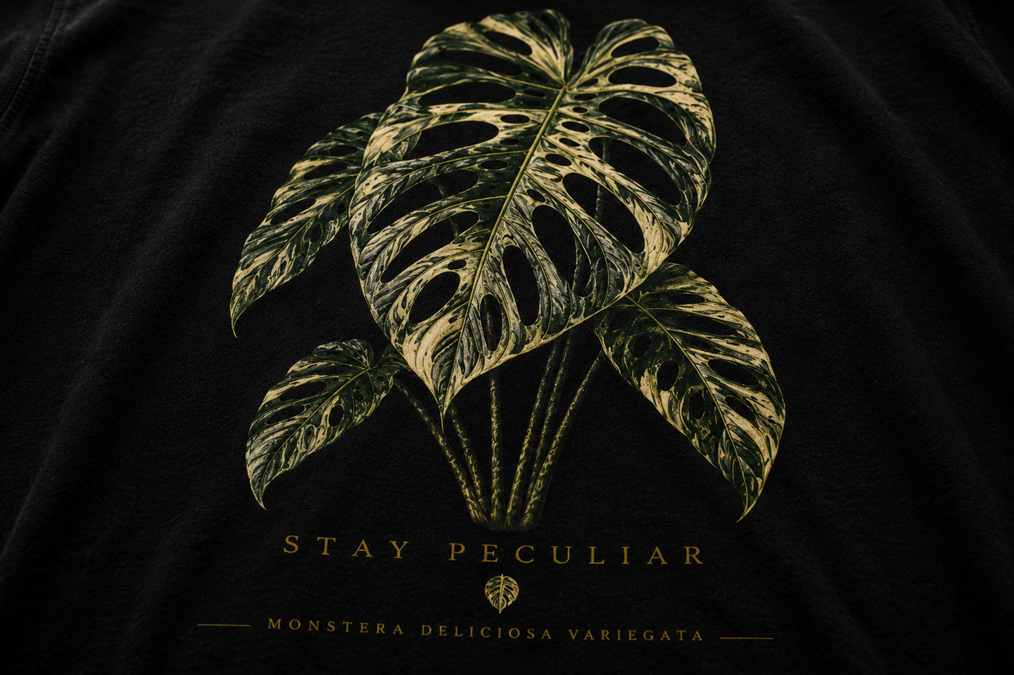 Monstera Variegata Deliciosa — Graphic Tee