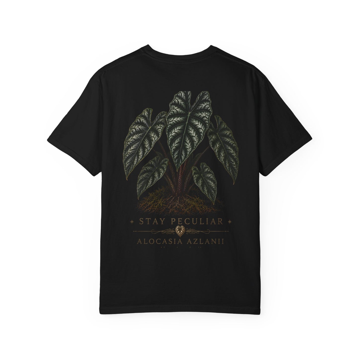 Alocasia Azlanii  ---  Silhouette Specimen Collection Graphic Tee