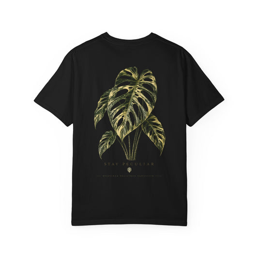 Monstera Variegata Deliciosa — Silhouette Specimen Collection Graphic Tee