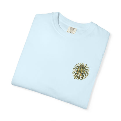 Curiosity Sets Things Free — The Insight Collection Graphic Tee