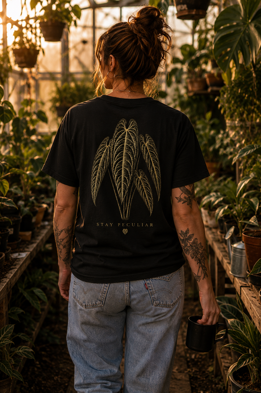 Anthurium Veitchii King — Graphic Tee