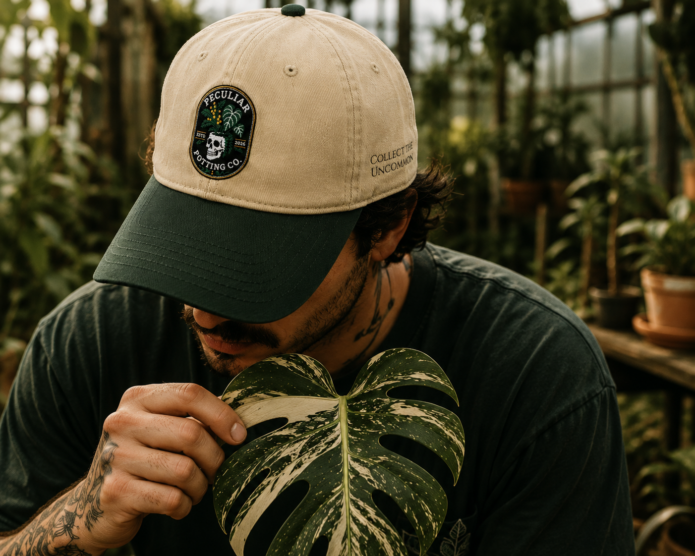 Collect the Uncommon — Dad Cap