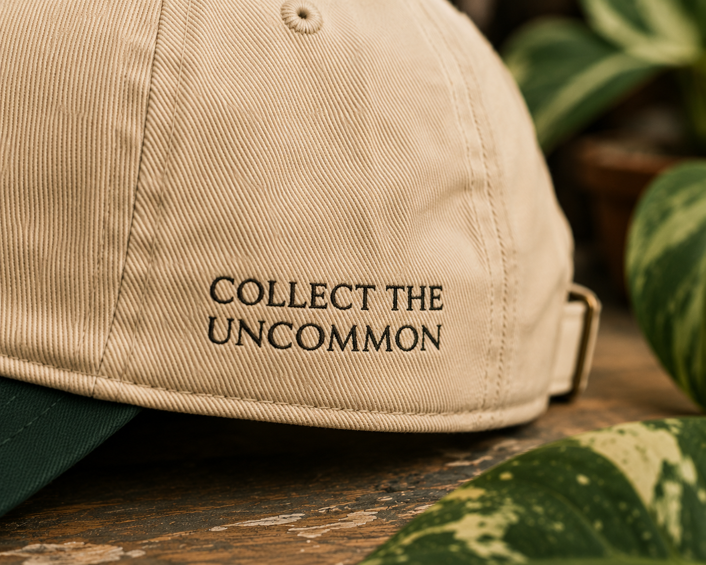Collect the Uncommon — Dad Cap