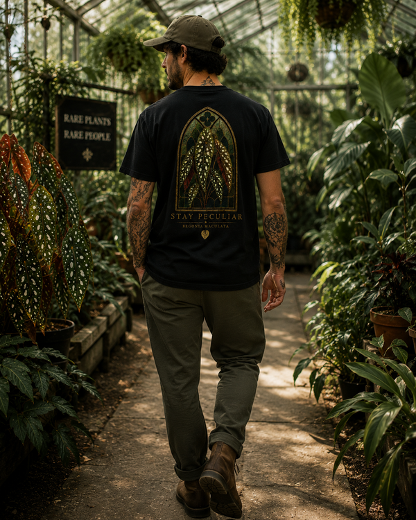 Stained Glass Begonia Maculata —  Graphic Tee
